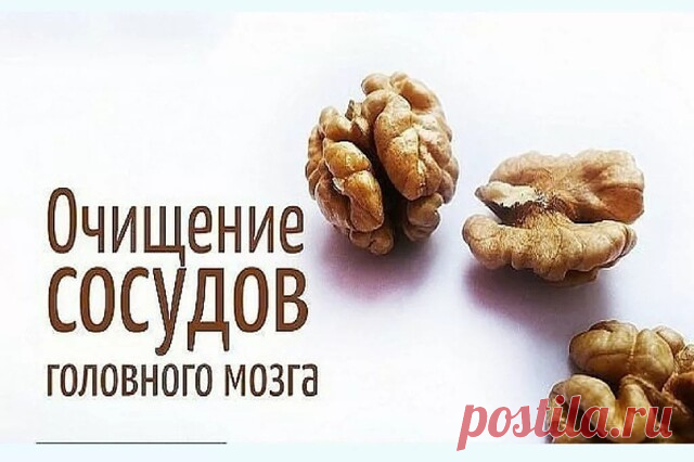СМЕРТЕЛЬНЫЙ ПРИГОВОР ГОЛОВНЫМ БОЛЯМ!

Очищение сосудов головного мозга очень важная процедура, которая способна значительно улучшить ваше самочувствие при ряде заболеваний, от остеохондроза шейного отдела до атеросклероза. Регулярное очищение сосудов позволит вам избавиться от тяжести в голове, исчезнут головные боли, прояснится сознание, улучшится настроение.

мед и грецкие орехи

Необходимо измельчить пять грецких орехов и тщательно смешать с одной столовой ложкой натура...