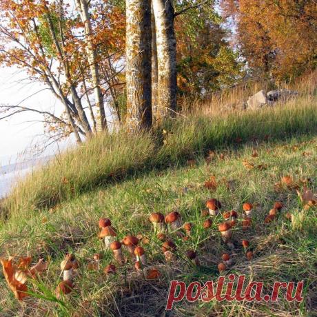 Интересные новости