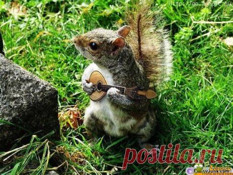 Голосование Мисс/Мистер