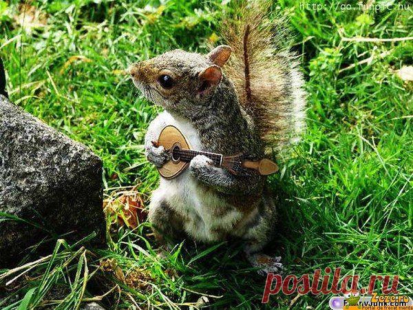 Голосование Мисс/Мистер