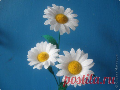 Ромашки МК | Страна Мастеров