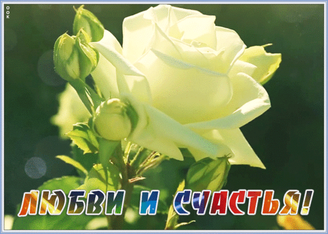 Открытка любви и счастья