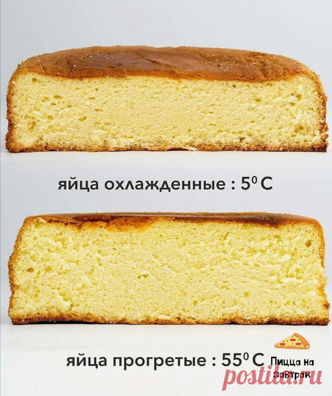 Вы этого НЕ ЗНАЛИ! 3 совета, как сделать бисквит, чтобы он не оседал | Пицца на завтрак | Яндекс Дзен