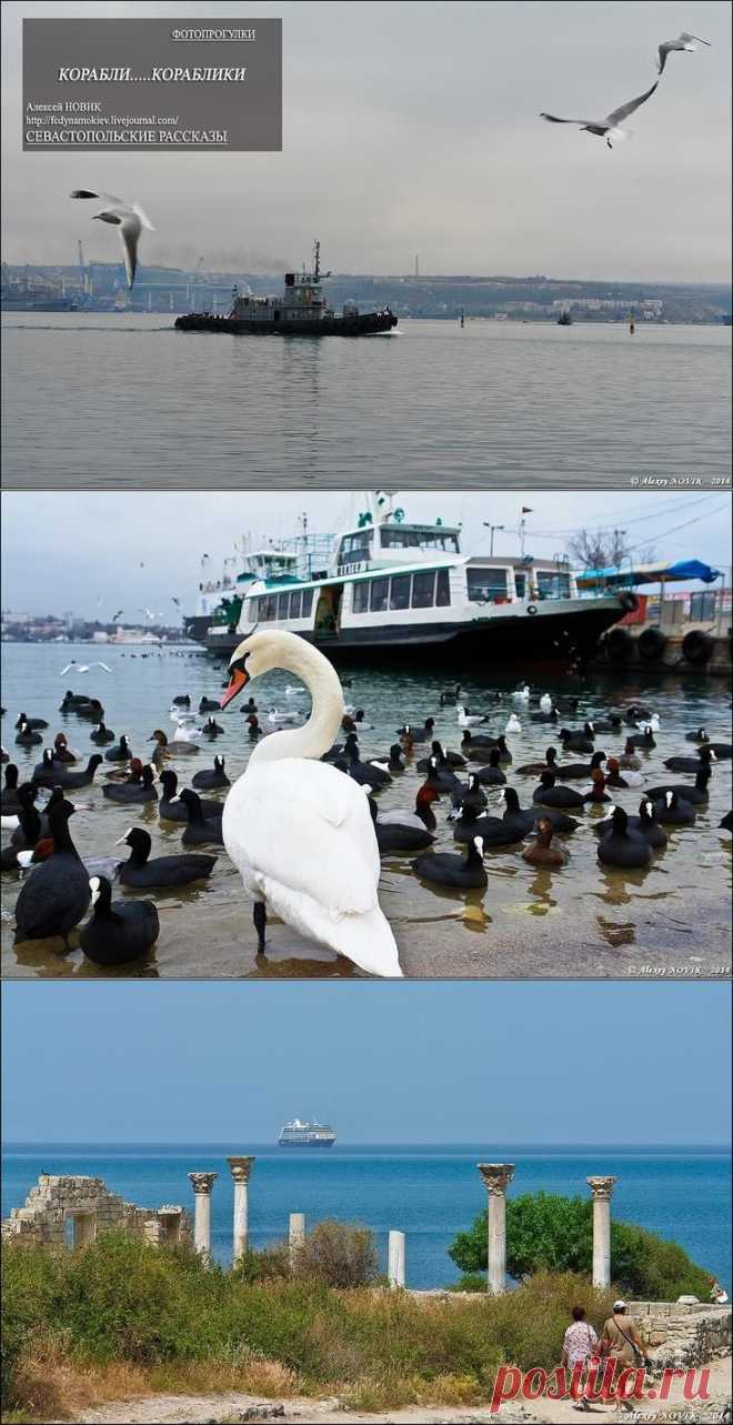 Фотопрогулки. Севастпольские рассказы. Корабли...кораблики