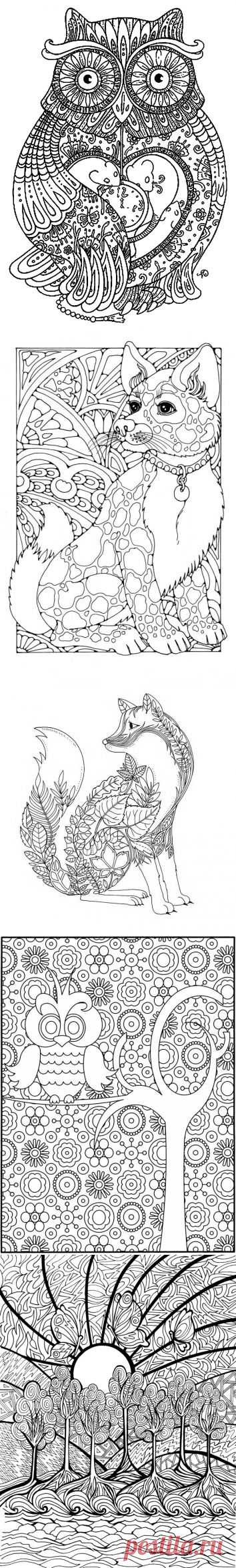 Чудесные раскраски.(очень много)