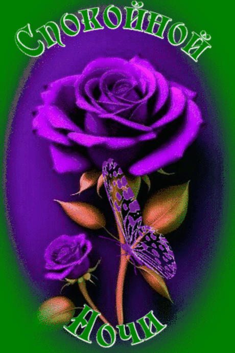 Спокойной ночи