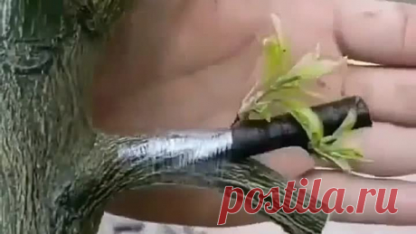Супер?