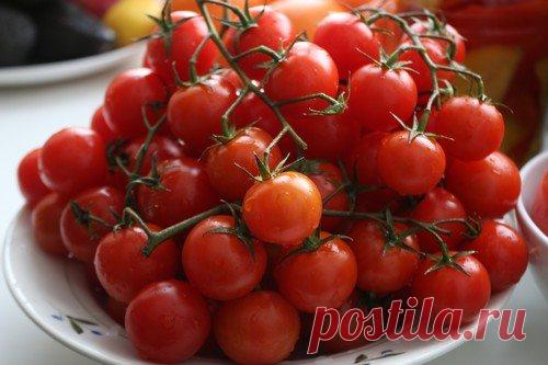 Томаты черри: 8 лучших сортов для открытого грунта