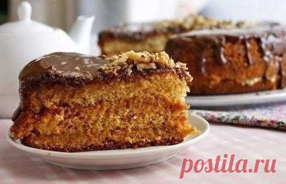 Очень вкусный нежный медовый бисквитНовости
