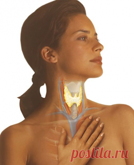 Каша для щитовидной железы