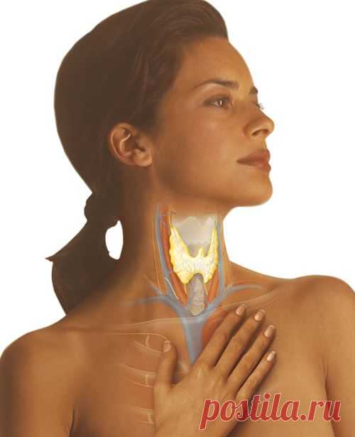 Каша для щитовидной железы