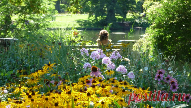 Peace in the Park Explore photo fiddler's photos on Flickr. photo fiddler has uploaded 21635 photos to Flickr.