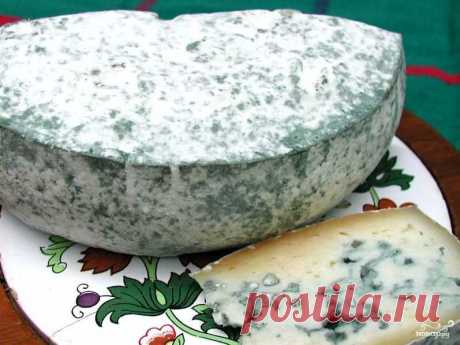Сыр блю в домашних условиях - пошаговый кулинарный рецепт на Повар.ру