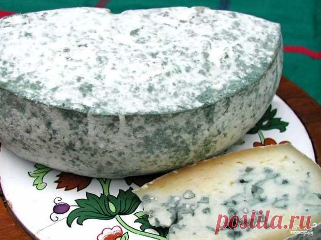 Сыр блю в домашних условиях - пошаговый кулинарный рецепт на Повар.ру