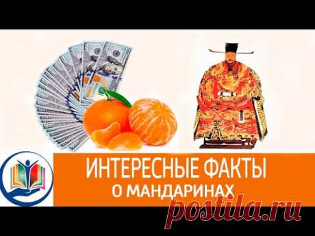 Интересные факты о мандаринах