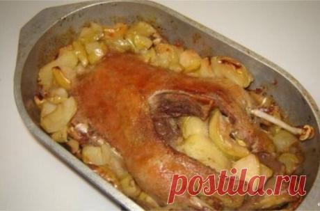 Утка с яблоками 🍽 Утка с яблоками 🍽

Утку с яблоками приготовить очень просто. Тщательно следуйте каждому из перечисленных шагов и всё получится. При этом получится неимоверно вкусно. Подавать лучше всего с картошкой.

Ингридиенты:

Утка: 1 Штука,
Яблоки: 1 Килограмм (Любой кислый сорт, я выбрала антоновку),
Чеснок: 4-5 Зубчиков,
Специи для утки: По вкусу,
Перец черный молотый : По вкусу,
Соль: По вкусу

Приготовление:

1. Утку тщательно промойте и натрите специями, соль...