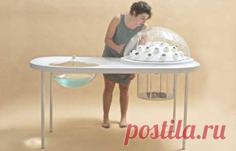 Круговорот веществ в науке. Из пластика в еду