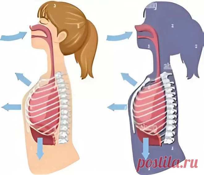 Дыхание движением в йоге