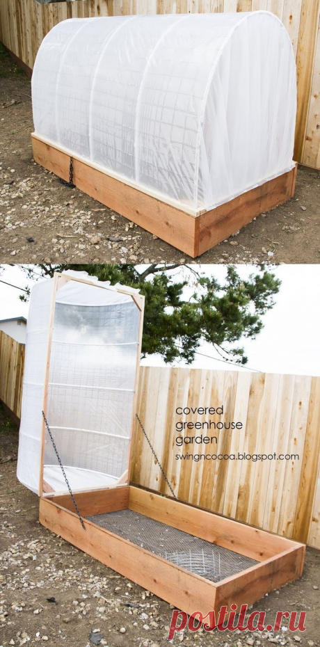 Gardening Tips and Hacks