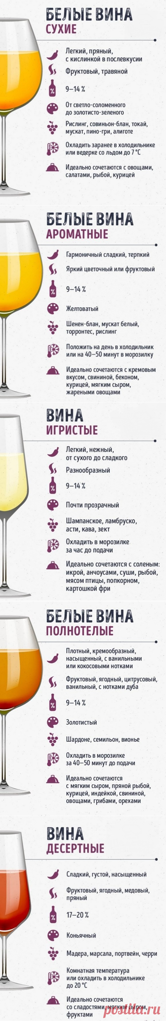 Учимся правильно разбираться в винах - Все для Вас!