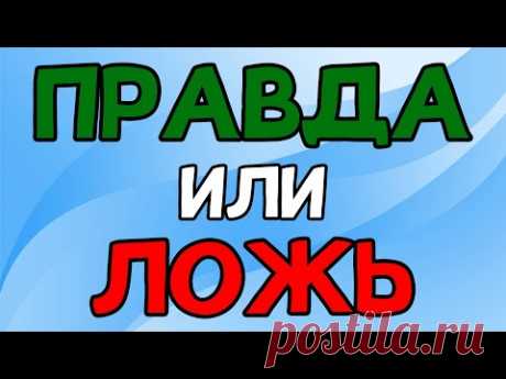 Викторина ПРАВДА или ЛОЖЬ - YouTube