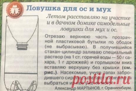 огород