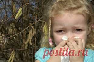 Пыльца запылила. Чем облегчить жизнь в сезон поллиноза.
