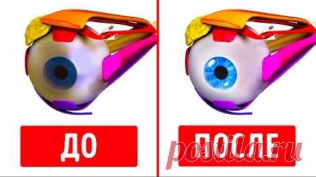 10 Действенных Упражнений Для Улучшения Зрения