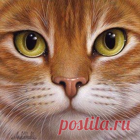 Рисунки карандашом , как вам ? Оцените)))...