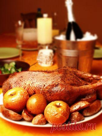 Новогодний гусь с яблоками и тмином — Готовим дома