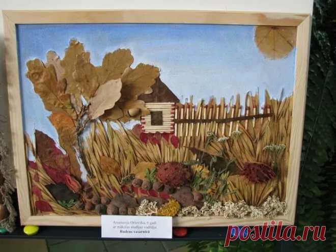 делаем гербарий с детьми: 2 тыс изображений найдено в Яндекс.Картинках
