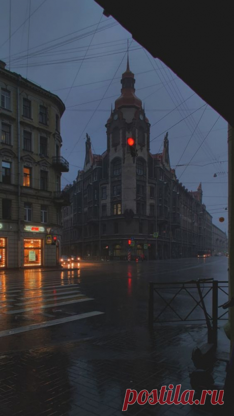 Дикий Петербург (@Wild_SPb) on X
