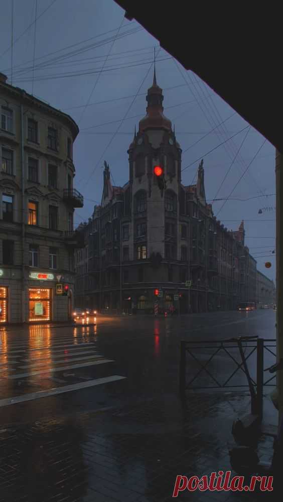 Дикий Петербург (@Wild_SPb) on X