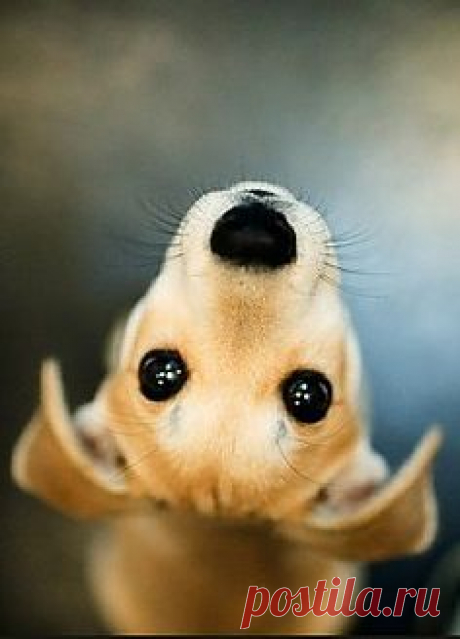 ❤