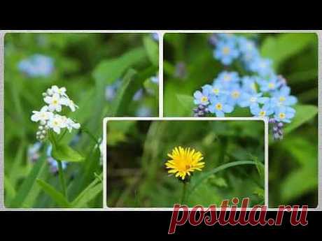 ▶ Стили ProShow Producer - Slides 3 &amp; Slides 4 - YouTube