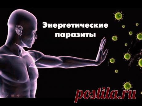 Лярва - что это и откуда она берётся.