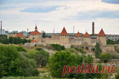 Помещики, скупавшие кладбища. Как возник замысел «Мёртвых душ»? Спойлер: его придумал не Гоголь | Читающий котофей | Яндекс Дзен