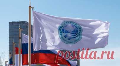 Ушаков: Россия считает ШОС и БРИКС опорами нового миропорядка. Помощник президента России Юрий Ушаков заявил, что российская сторона считает Шанхайскую организацию сотрудничества (ШОС) и БРИКС опорами нового миропорядка. Читать далее