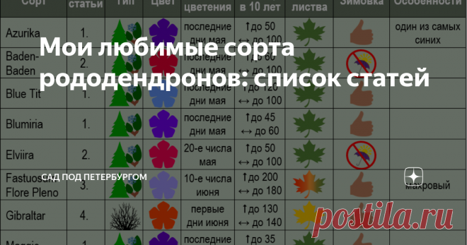 Мои любимые сорта рододендронов: список статей У статей о сортах, которые я для вас готовлю, есть 4 источника информации: Вместе с тем стоит отметить, что опыт выращивания рододендронов именно в нашей стране иначе как незначительным пока не назовешь: и срок наблюдения маленький, и самих по себе представителей конкретного сорта на всю страну может быть два...   Что-то определенное можно сказать о часто продаваемых сортах в Питере и Москве. Но получить качественный массив да...