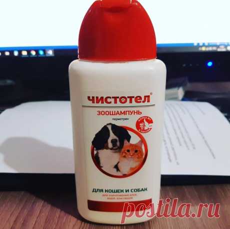 Собачий шампунь 🐶 спасёт огород от тли