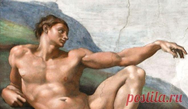 Тело человека: 10 удивительных фактов  | Яблык Удивительные факты о теле человека, в которые трудно поверить. Например, пот не пахнет, в теле живет до 3 кг бактерий, организм вырабатывает яд...