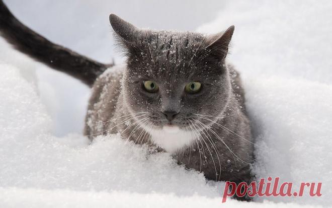 Опять самому идти приходиться