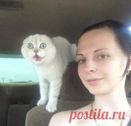 - За дорогой следи, дура!