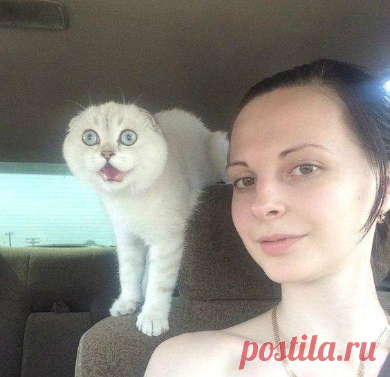 - За дорогой следи, дура!