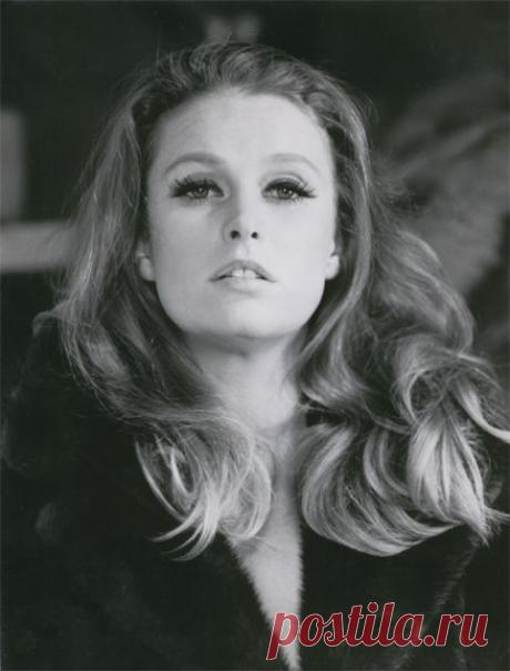 Красавицы польского кино.(часть I) | СПЛЕТНИК