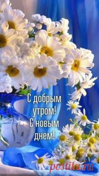 Доброе утро