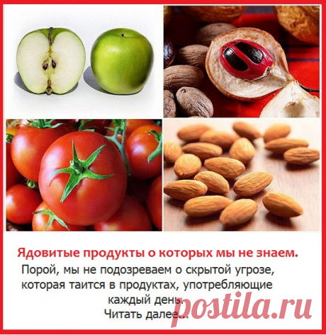 Ядовитые продукты, которые мы употребляем каждый день.
