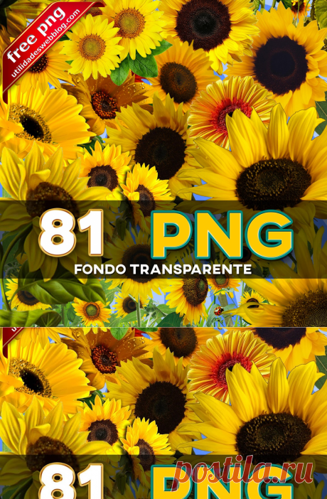 imágenes de girasoles con fondo transparente | Caricaturas PNG
