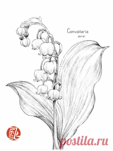 《黑白花之绘》——用黑白重新诠释花之绘！…－堆糖，美好生活研究所