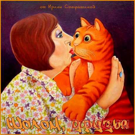 Шолом, друзья. Новые анекдоты от кота Мартика | Ирина Стефашина | Яндекс Дзен